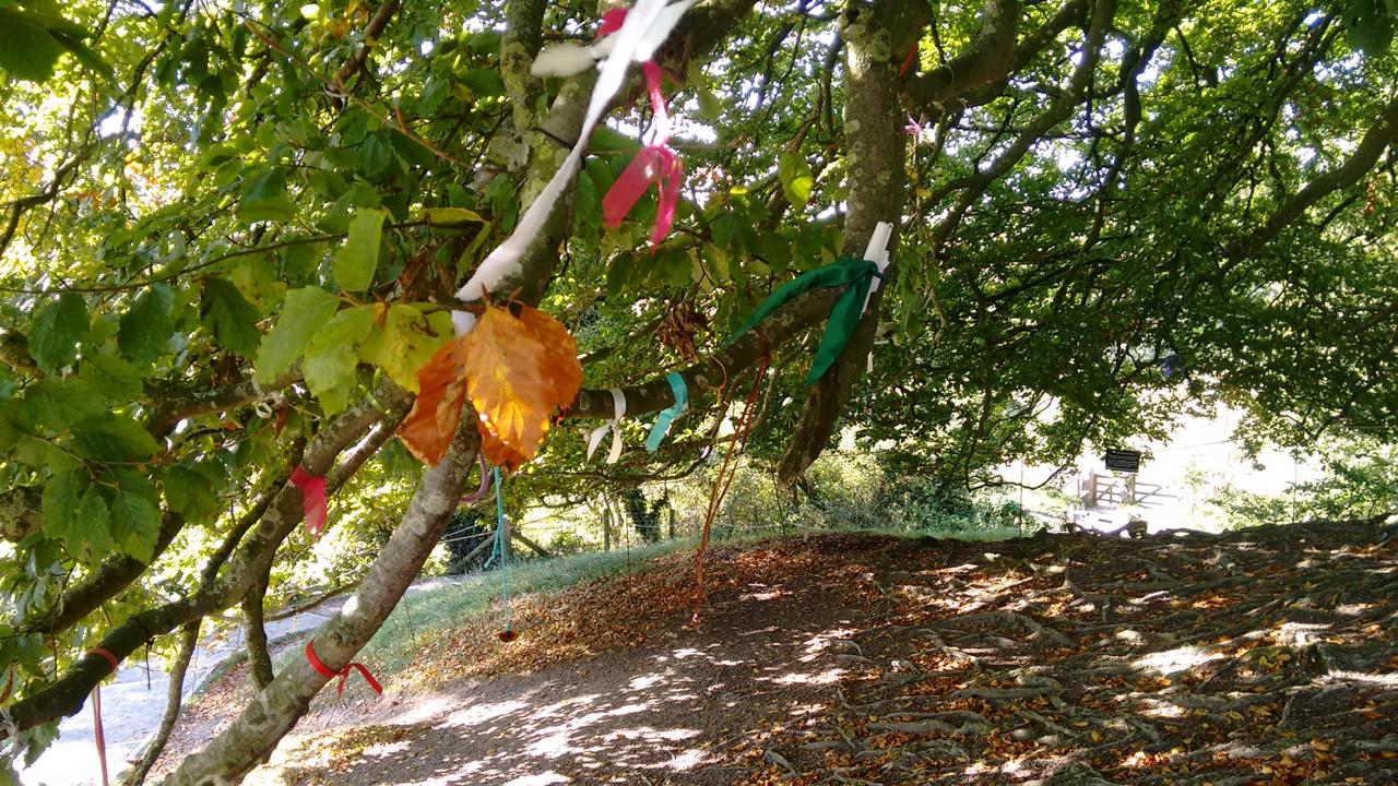 Página de Agendamento | Panteon Serviços Holísticos